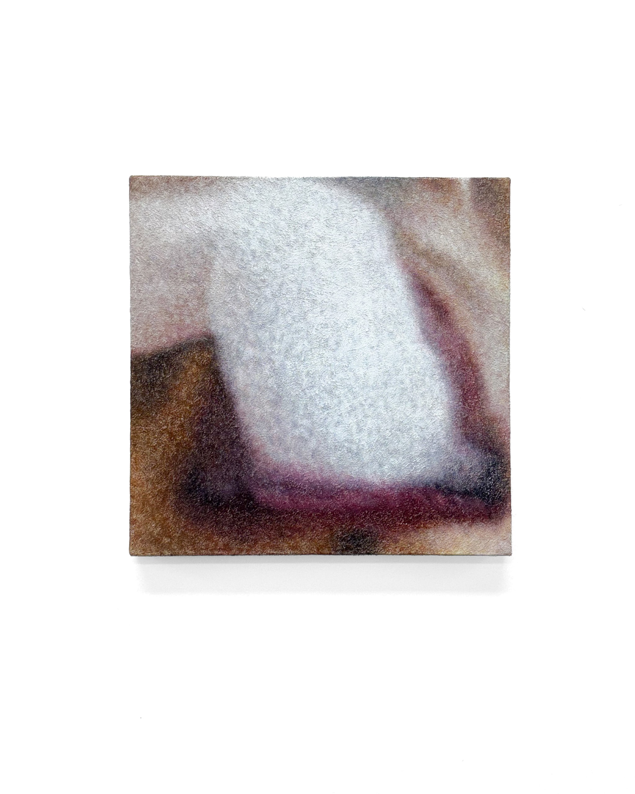 259×259